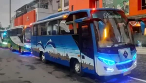 sewa medium bus
